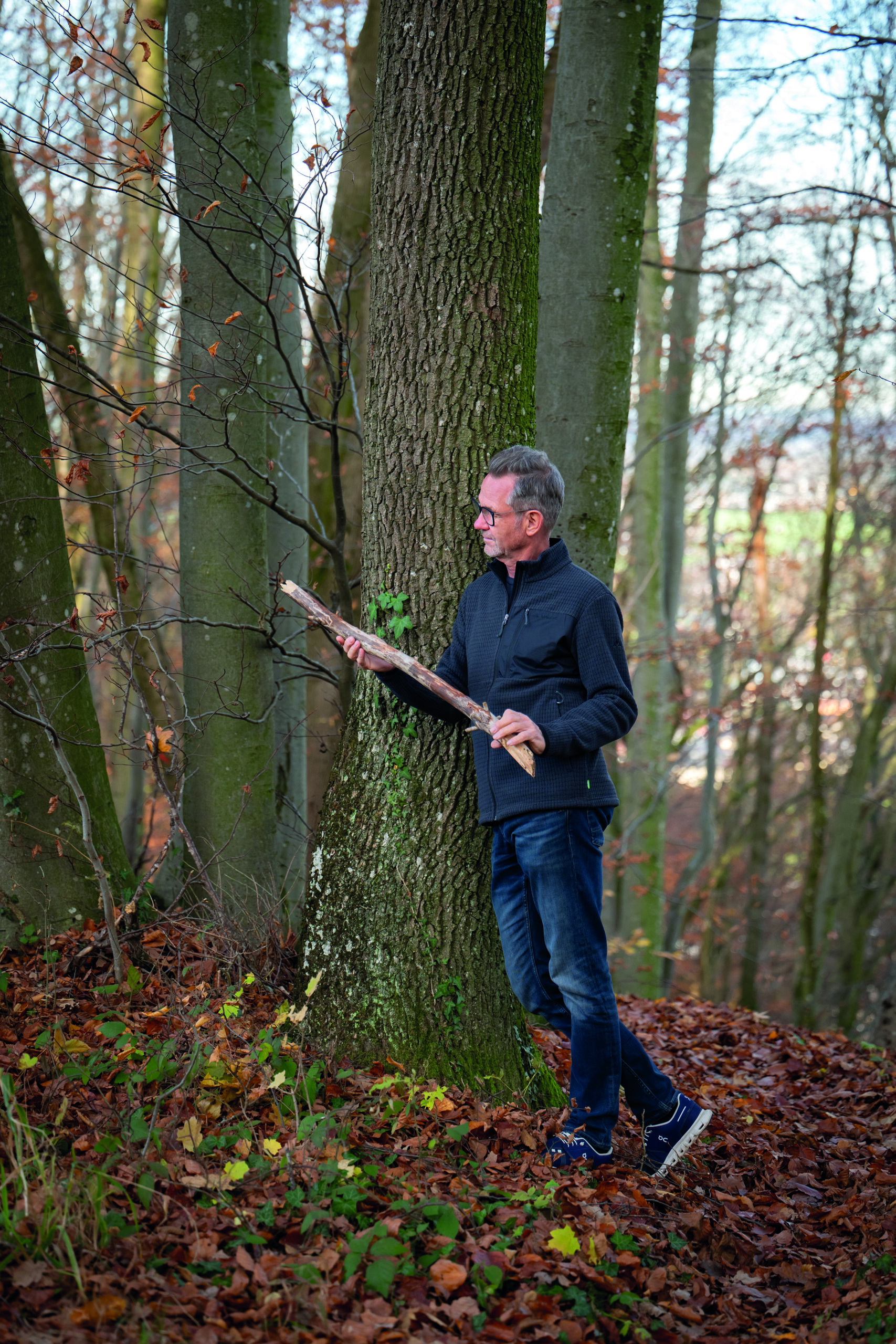 download Gerald Ziegler Wald 4c scaled